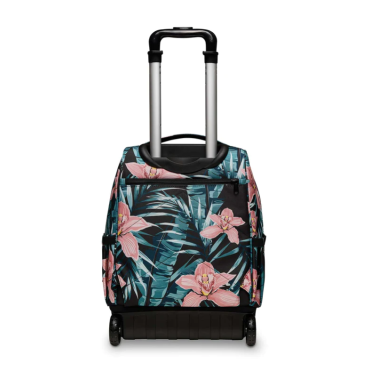 Tropical Hibiscus