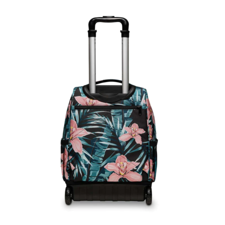Tropical Hibiscus