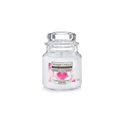 Yankee Candle Bubble Time| media