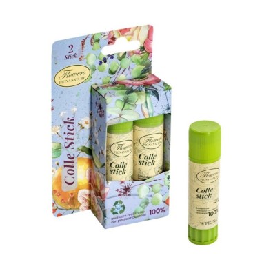 Blister 2 colle stick Pigna Nature Flowers