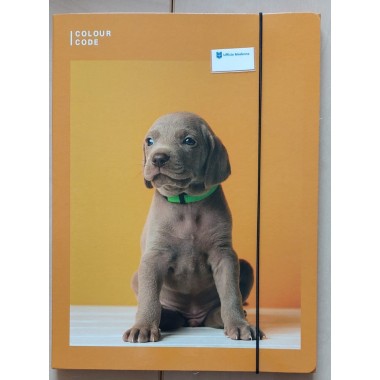 Cartellina Con Elastico Colour Code Animali