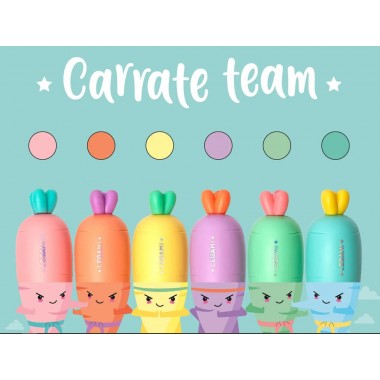 Set di 6 Mini Evidenziatori