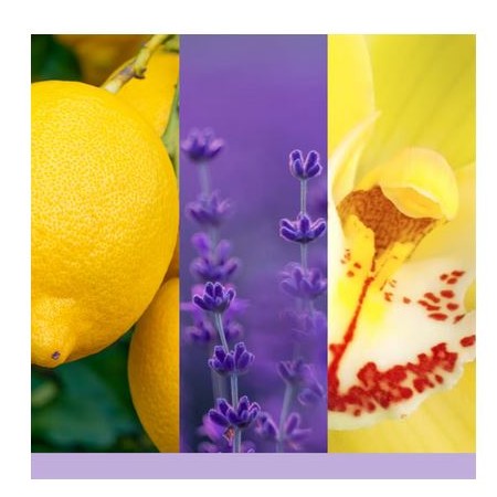 Yankee Candle Lemon Lavender Car Jar