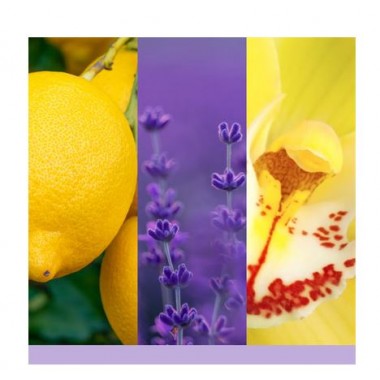 Yankee Candle Lemon Lavander Car Jar Yankee Candle Lemon Lavander Car Jar