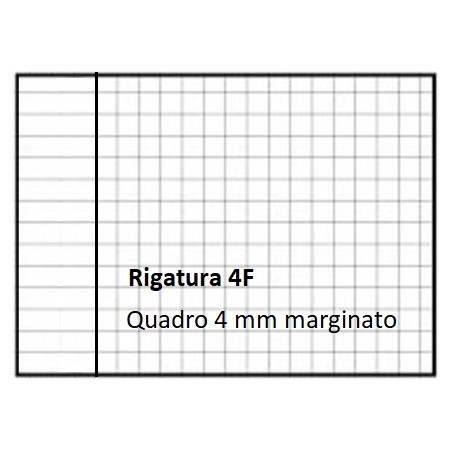 Quaderno A4 Blasetti Colorface 100gr 4F