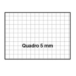 Quaderno A4 Blasetti Colorface 100gr c 2
