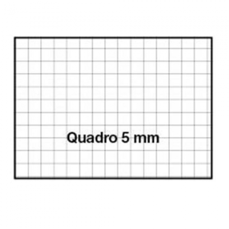 Quaderno A4 Blasetti Colorface 100gr 5MM