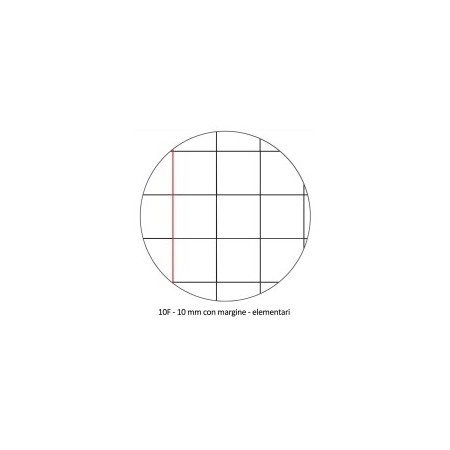 Quaderno A4 Blasetti Colorface 100gr 10F