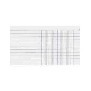 Quaderno A4 Blasetti Colorface 100gr 2 colonne Ragioneria