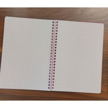 Blocco A4 spiralato con copertina in ppl quadretti