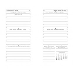 Organiser Medium 9,5x17 Belt Pelle Marrone InTempo 2