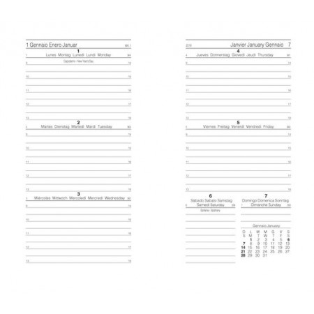 Organiser Medium 9,5x17 Belt Pelle Marrone InTempo