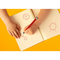 Penna a Sfera Due Colori Ladybug - Click&Clack Legami 2
