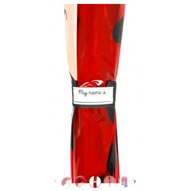 Ombrello per Bambini Ladybug - Dancin' in the Rain Legami
