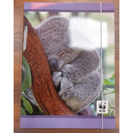 Cartellina Con Elastico WWF Animali