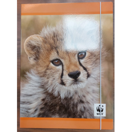 Cartellina Con Elastico WWF Animali