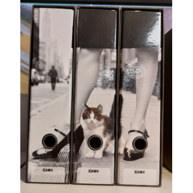 Set da 3 raccoglitori ad anelli