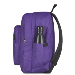 Royal Purple Shine 2