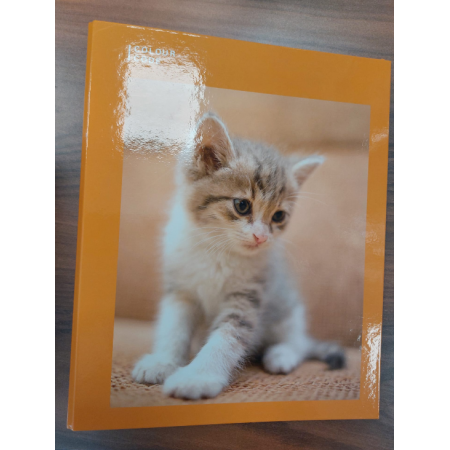 Cartellina ad anelli Seven Colour Code Animali