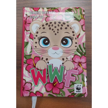 WWF 2026/27