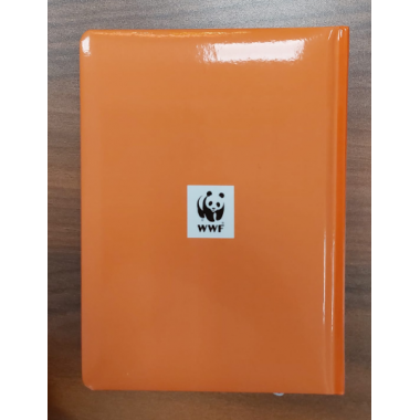 WWF 2026/27
