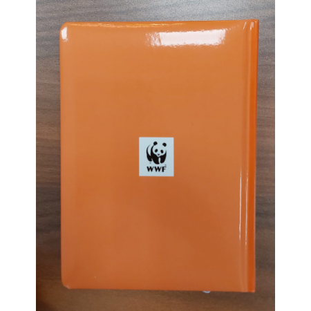 WWF 2026/27