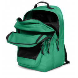 Shamrock Green 2