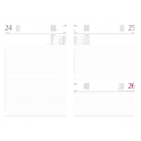 Agenda giornaliera 2027  15x21 Buffetti