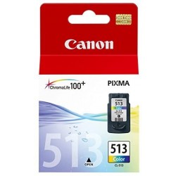 Cartuccia Canon 513 Colore