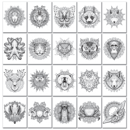 Gone Wild Mandalas Chameleon