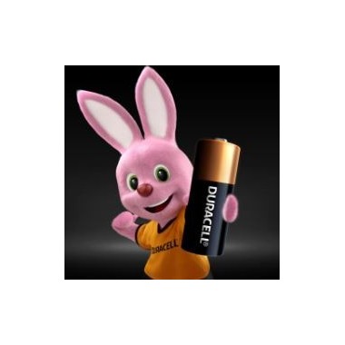 Batterie alcaline specialistiche - MN21 - Duracell