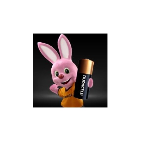 Batterie alcaline specialistiche - MN21 - Duracell