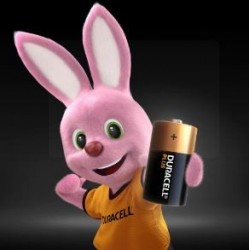 Batterie alcaline plus - C - Duracell 2