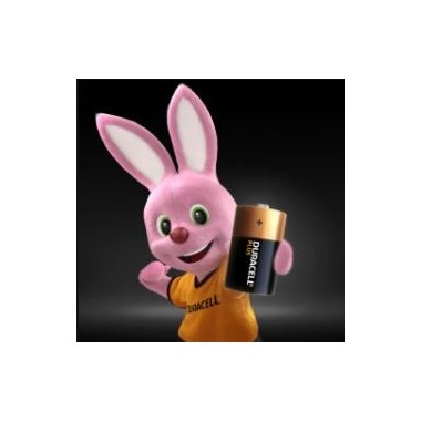 Batterie alcaline plus - D - Duracell