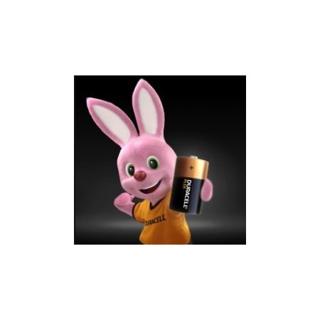 Batterie alcaline plus - D - Duracell