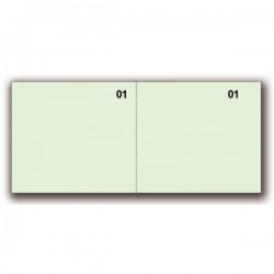 Scontrini numerici generici - 2 tagliandi - verde - 5,8 x 13 cm