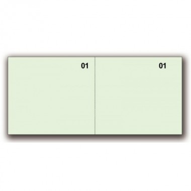 Scontrini numerici generici - 2 tagliandi - verde - 5,8 x 13 cm