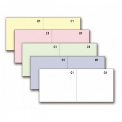 Scontrini numerici generici - 2 tagliandi - 5 colori - 5,8 x 13 cm